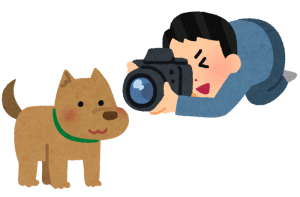 camera_dog